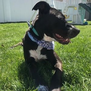 Meet your Posher, Adriana